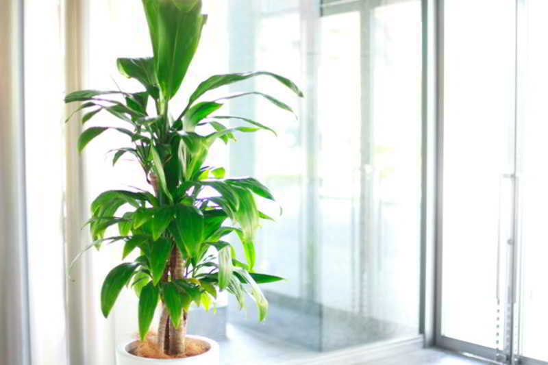 Kkr Hotel Hakata Fukuoka  Extérieur photo